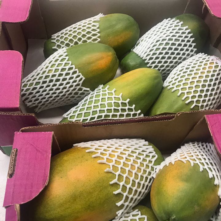 Papaya